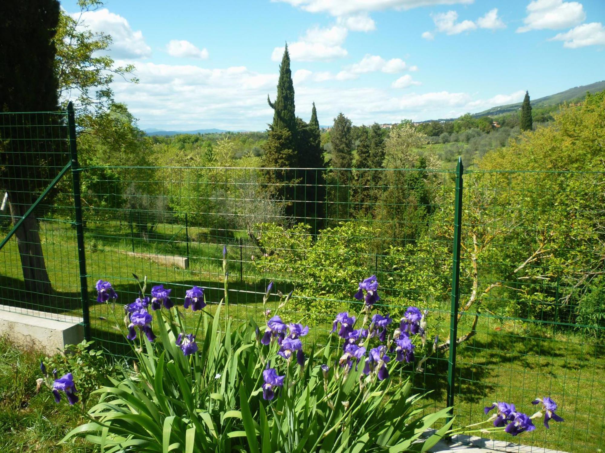 فيلا Casa Giulia ريغلو الغرفة الصورة